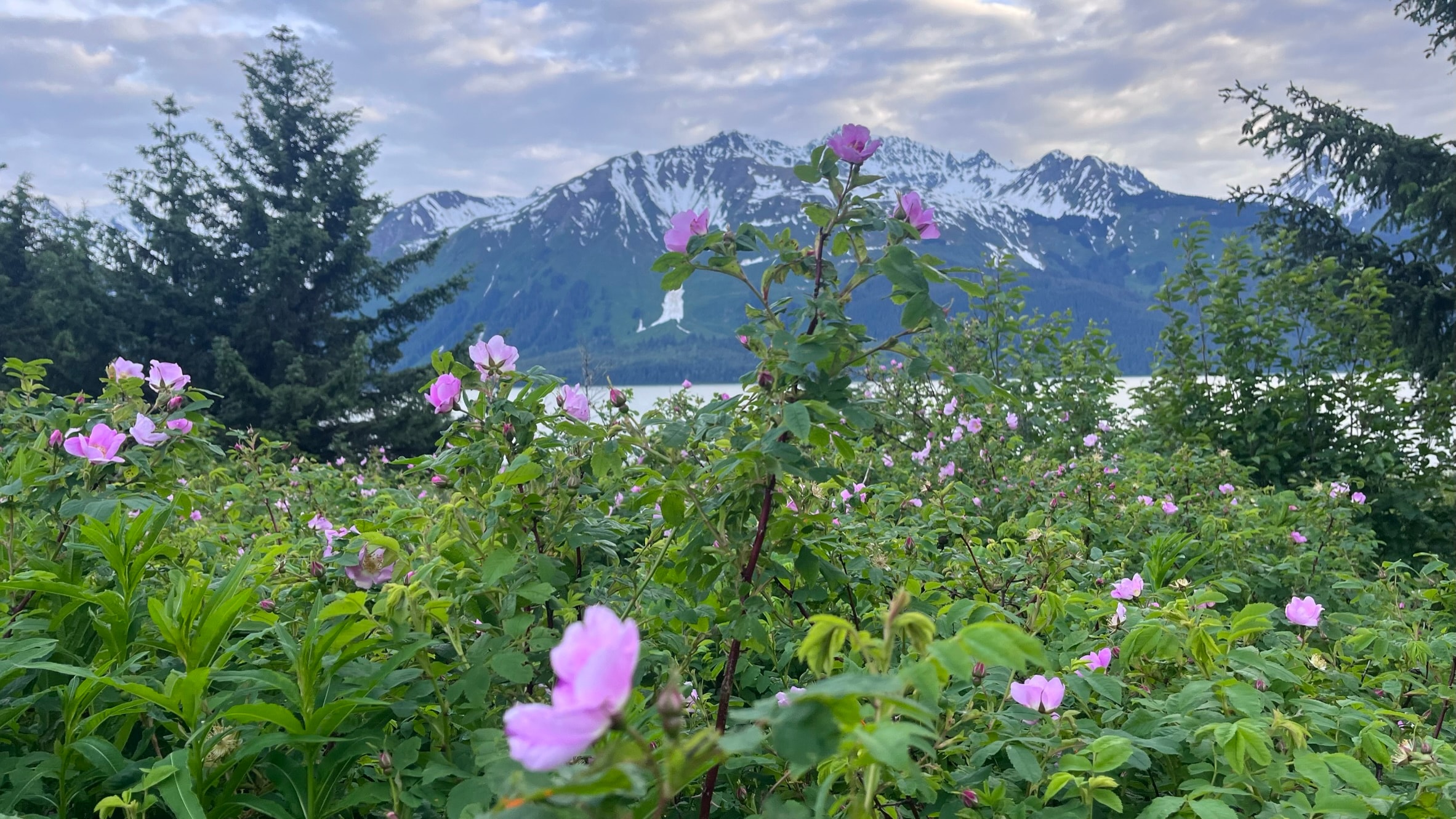 Alaska glacier